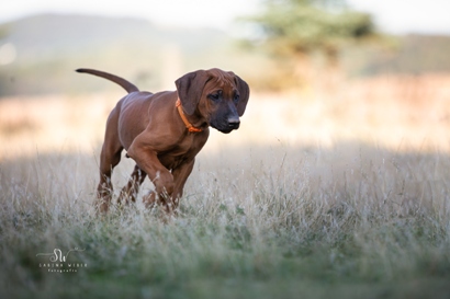 SabinaWeberFotografie-4458web